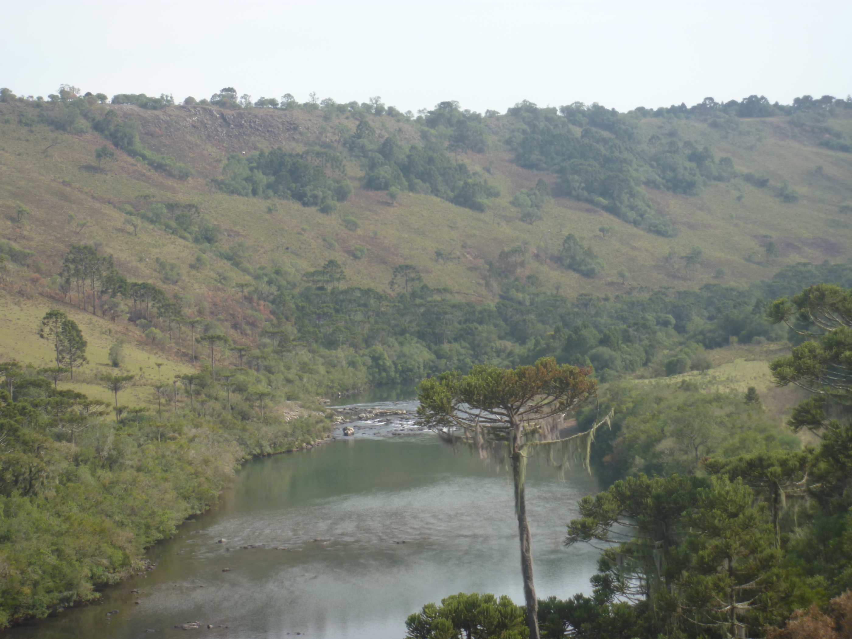 PCH Malacara (58).JPG