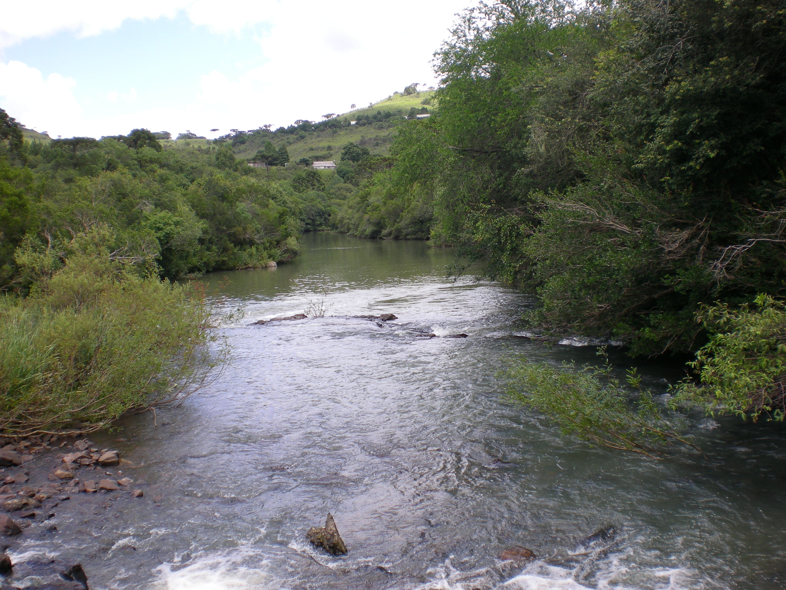 002 - Rio Antoninha - 02.JPG