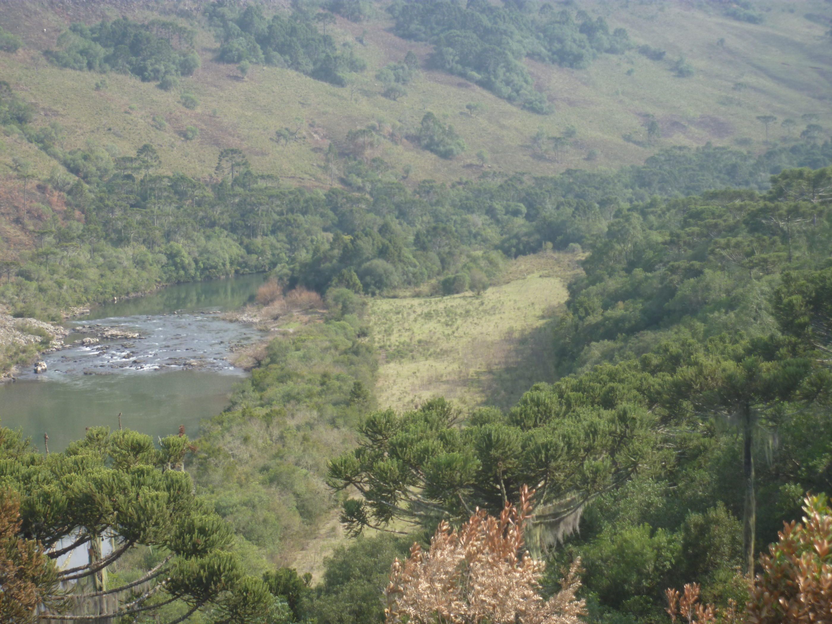 PCH Malacara (39).JPG