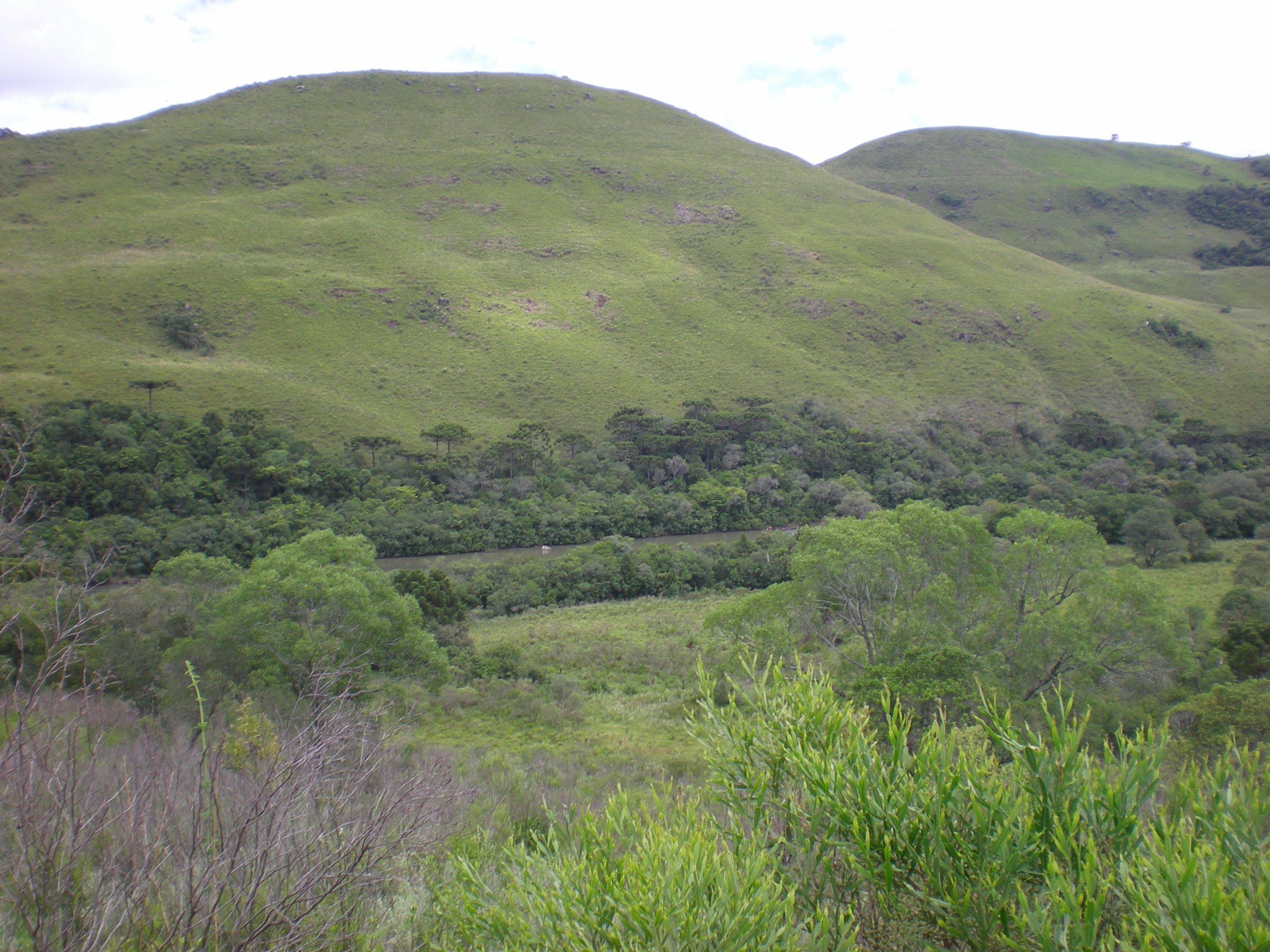 PCH São Mateus (11).JPG