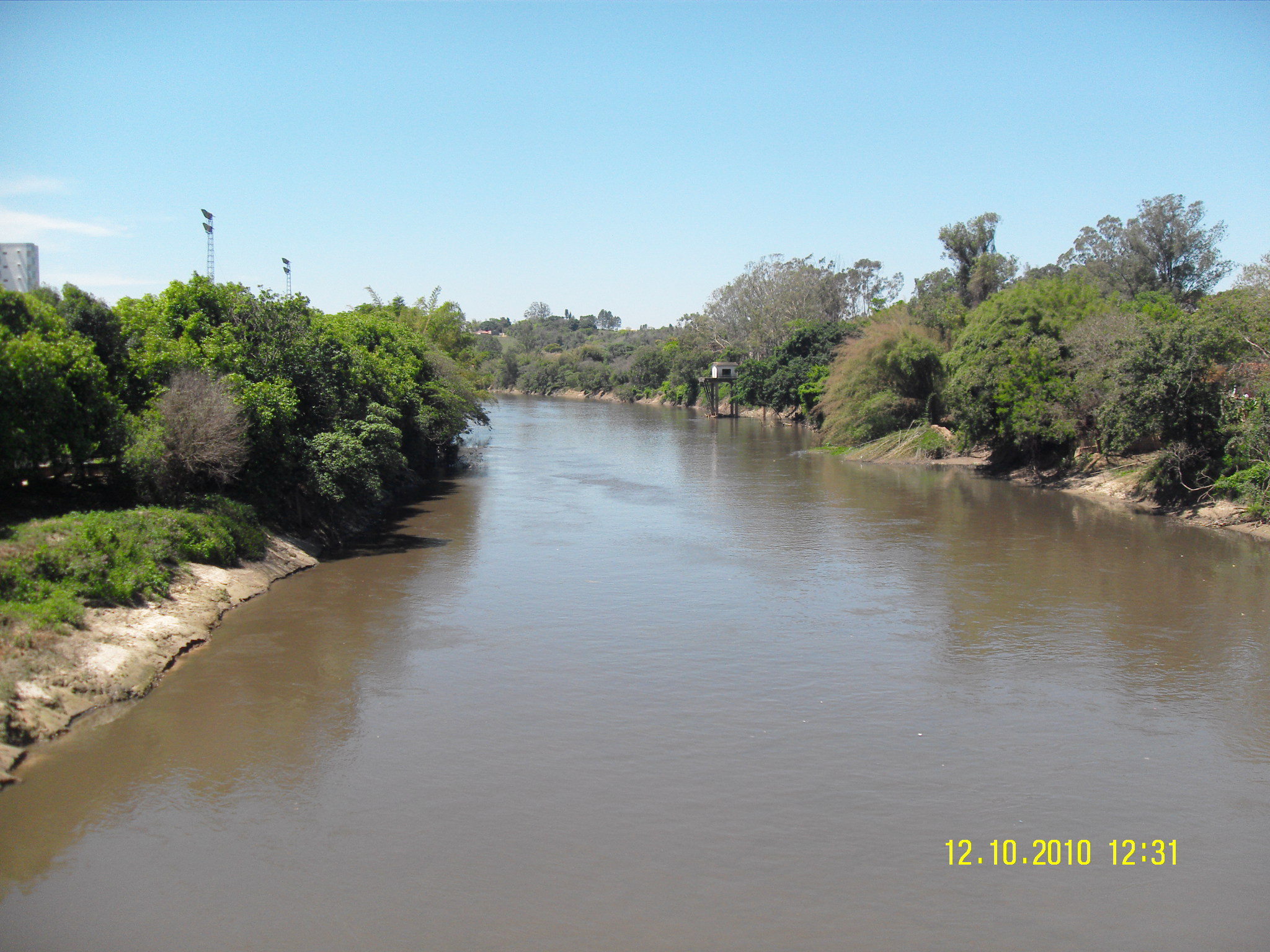 Vegetação ciliar do rio tietê.JPG