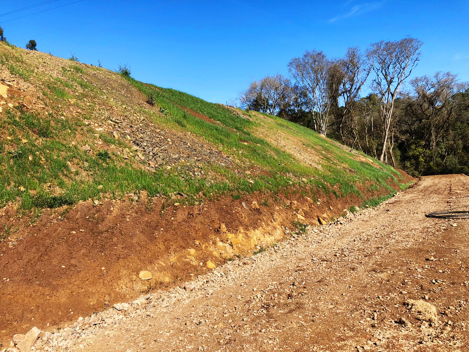 WhatsApp Image 2021-09-02 at 10.48.40 (1).jpeg