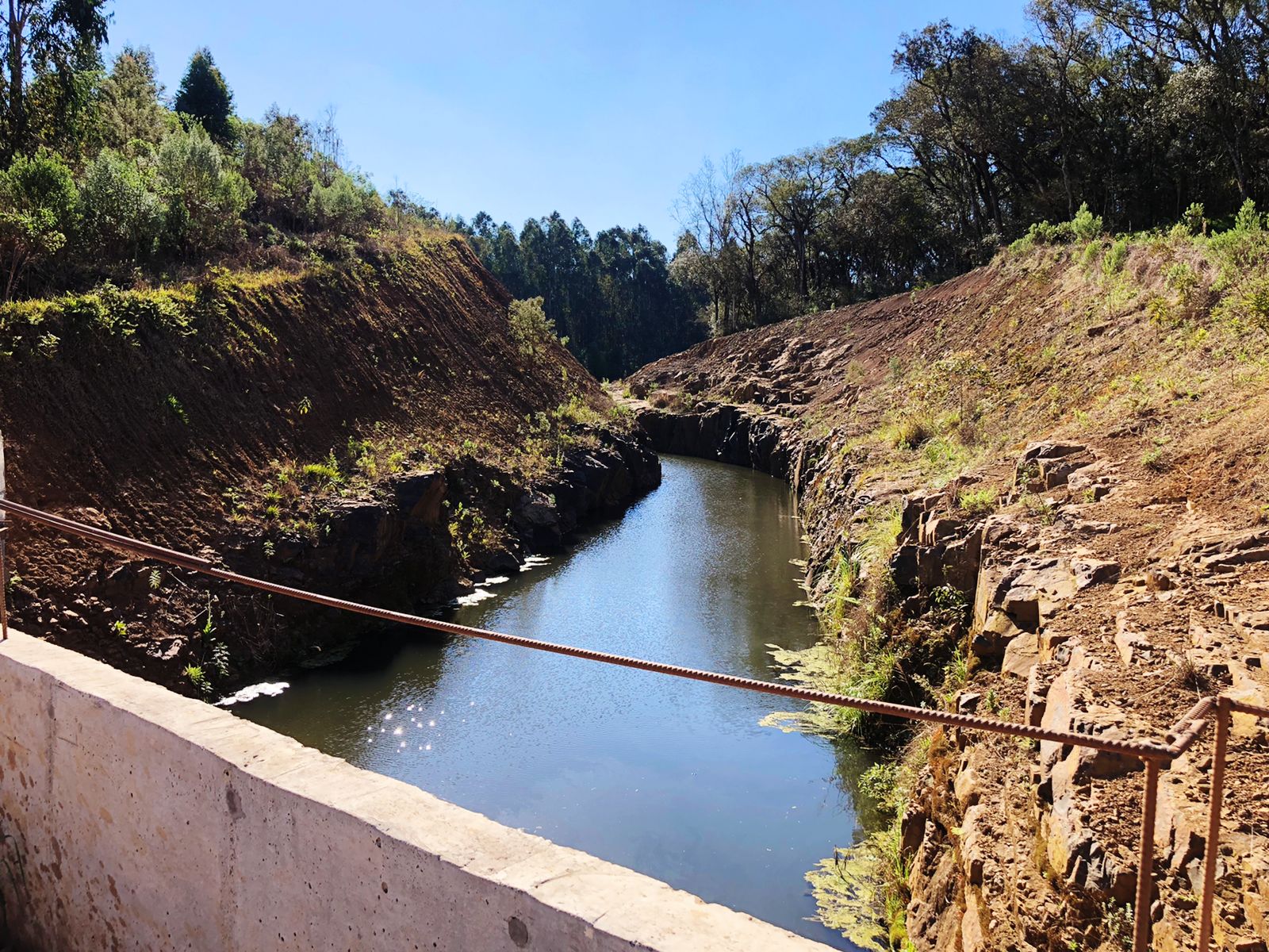 WhatsApp Image 2021-09-02 at 10.48.32.jpeg